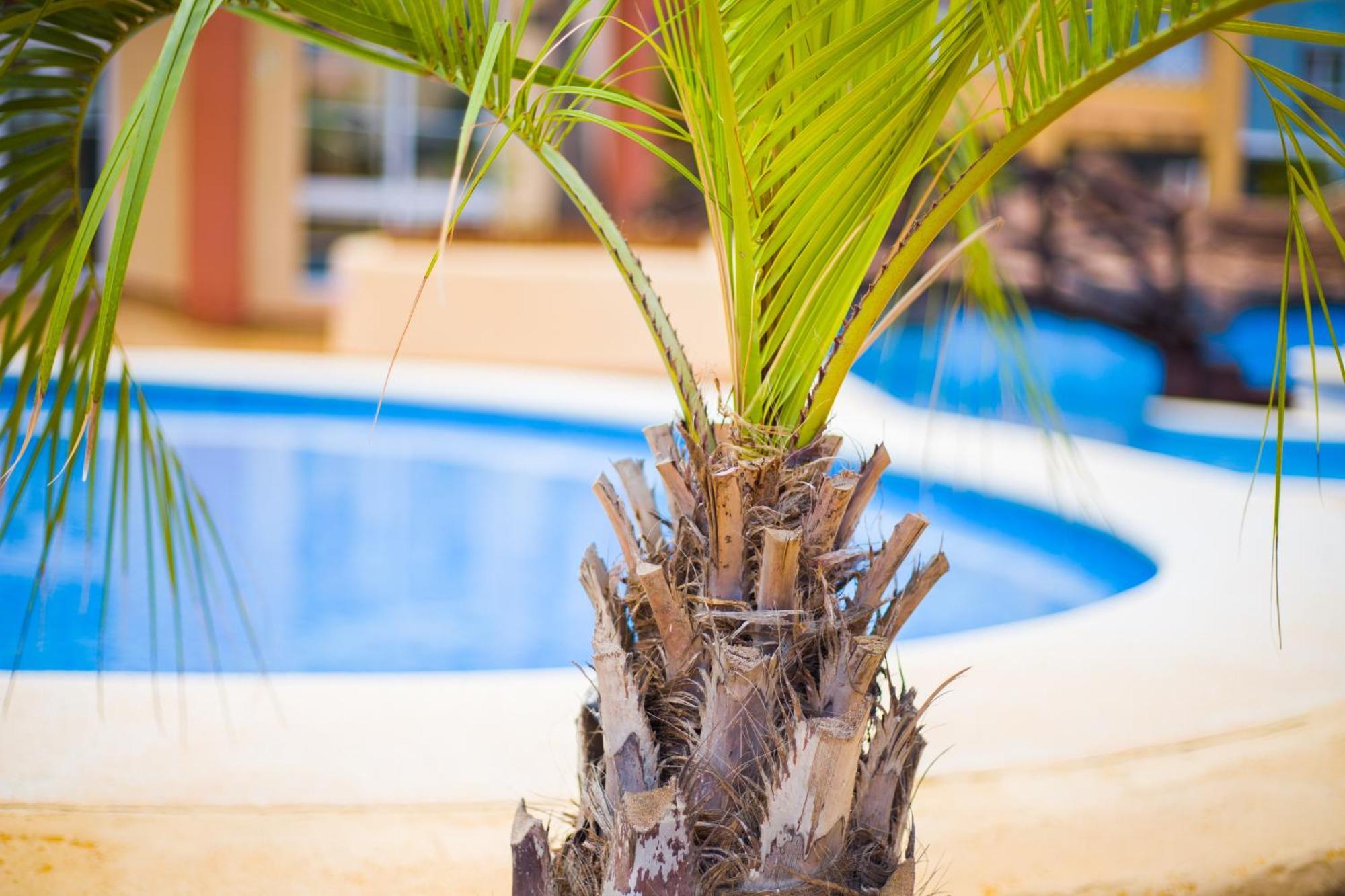 Apartamento Turistico Verdemar 2 La Manga del Mar Menor Dış mekan fotoğraf